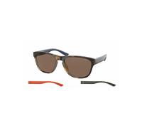 Polo PH 4180U 5003/73 56 Occhiali da Sole