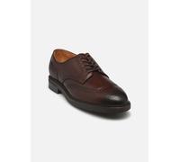 Polo Ralph Lauren - ASHER WGTIP-DRESS SHOE-WINGTIP Marrone - Scarpe con lacci 40 Marrone