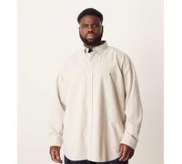 Polo Ralph Lauren Big & Tall - Camicia Oxford classica beige con logo iconico-Neutro XL