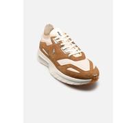 Polo Ralph Lauren - BOERUM KNIT Marrone - Sneakers 44 Marrone