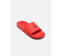 Polo Ralph Lauren - POLO SLIDE-SANDALS-SLIDE Marrone - Infradito 38 Marrone