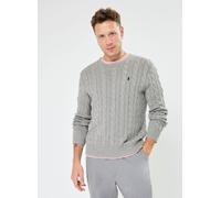 Polo Ralph Lauren - Pull torsadé en coton Grigio - Abbigliamento XL Grigio