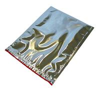 POLOPLAST PZ 10 Sacchetto Termico CM 23,5 X 29,5 Colore Argento Busta RICHIUDIBILE per Trasporto Alimenti