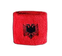 Polsino spugna Albania