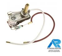 POLTI TERMOSTATO REGOLABILE + TERMOFUSIBILE FERRO DA STIRO ORIGINALE M0003471