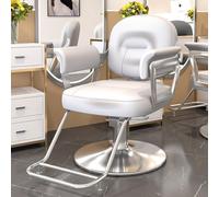 Poltrona da Beauty Spa, Poltrona da Barbiere, Rotazione A 360°, Regolazione Idraulica Dell'altezza, Base Rotonda Elettrolitica, per Parrucchieri,Light Gray,Silver Plated