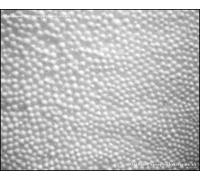 Poltrona Sacco Imbottitura Servizio Solo Quando Acquisto Chicco Borsa Da US