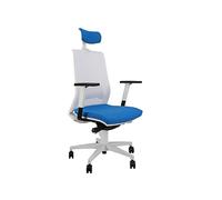 Poltrona semidirezionale Light LLBPG - con braccioli regolabili e poggiatesta -