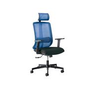 Poltrona semidirezionale Vertigo VRAPG - con braccioli regolabili e poggiatesta