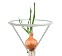 Poludatly per la coltivazione di avocado, scaffale triangolare per la coltivazione di avocado, supporto per avviatori di semi, rack per radici in ferro Avo-cado, supporto per coltivazione di