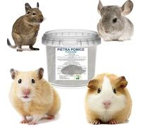 Polvere da Bagno per Cincillà e Animali Piccoli Sabbia di Pomice Detergente Naturale e Pura per la Pulizia di Degu, Criceti e Gerbilli 1 KG