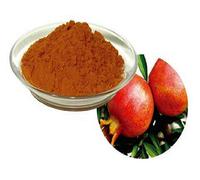 Polvere di buccia di melograno Anar Chilka Dadam Chal Churna da 60 g a 1 kg s...