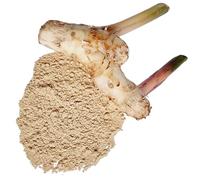 Polvere di galangal, composta al 100% da Alpinia galanga - Galangal maggiore, lengkuas e zenzero blu puri e naturali - Peso netto: 50g