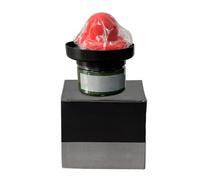 Polvere Guida per la verniciatura 'auto - Prodotto in polvere per la verniciatura di automobili - Materiali di levigatura per identificare i in manutenzione e riparazione