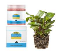 Polvere Radicante per Piante | 100g Concime Rapido Piante | Potenziatore Radicale Della Crescita | per Esterno, Interno, Orchidea, Bonsai, Monstera, Rosa, Frutta, Verdura,