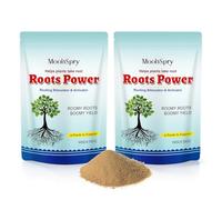 Polvere Radicante Rapida 2 x 100 g