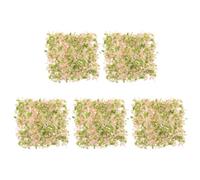 Polvere Vegetale per Modellismo e Diorama, 5 Sacchetti da 100 G | Pvc, Effetto Realistico per Decorazioni e Creazioni, Adatta a Scenari, Dettagli e Composizioni Colore Casuale