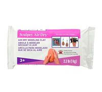 Polyform Modello Air Argilla 997,90 g (2,2lb-Cotta Terra)