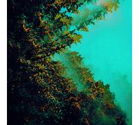 Polymoon - Caterpillars Of Creation