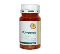 POLYPORUS LINEA BASIC 120CPR