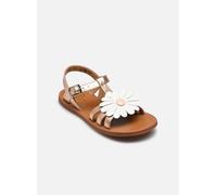 Pom d Api - Plagette Big Flo Rosa - Sandali e scarpe aperte 33 Rosa