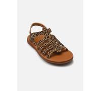 Pom d Api - Plagette Strap Marrone - Sandali e scarpe aperte 28 Marrone