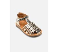 Pom d Api - Poppy Royal Oro e bronzo - Sandali e scarpe aperte 25 Oro e bronzo