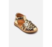Pom d Api - Poppy Royal Oro e bronzo - Sandali e scarpe aperte 26 Oro e bronzo