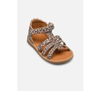 Pom d Api - POPPY STRAP Marrone - Sandali e scarpe aperte 24 Marrone