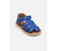 Pom d Api - Waff Papy Blu - Sandali e scarpe aperte 20 Blu
