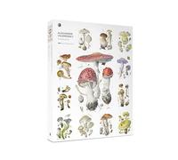 Pomegranate Funghi: Alexander Viazmensky Puzzle da 1000 pezzi