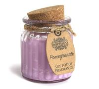 Pomegranate Soy Pot of Fragrance Candles