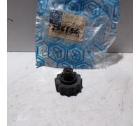 POMELLO ASTA BENZINA PER PIAGGIO VESPA 50 FL2 (256786)