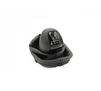 FAST FT00102 Pomello cambio
