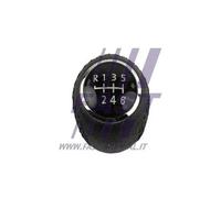 Pomello leva cambio Cambio manuale a 6 marce FT73226 FAST per FIAT PEUGEOT
