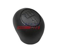 Pomello Leva Cambio Fast FT73201 per Fiat Citroën Peugeot