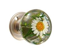 Pomello per porta in cristallo, in resina trasparente e metallo, maniglia decorativa per porta del cassetto dell'armadio, per interni di casa, in resina resistente