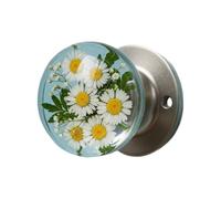 Pomello vintage per la privacy - Stop Loose Fitting Wobble, meccanismo sferico a da 60 mm, ornamento di bloccaggio architettonico retrò, mobili in spazzolato | Impugnatura per bagno e