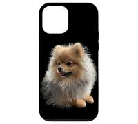 Pomerania Cane Pomeranian Pom Spitz Tedesco Dolce Cani Custodia per iPhone 12 mini