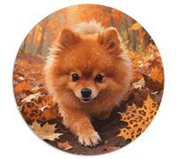 Pomeranian 1000 Tessere Pet Puzzle Circolare Multicolore Festa Aziendale Regalo Per Adulti E Bambini Da 14 Anni E Più 1000pcs (67.5x67.5cm)