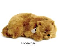 Pomeranian- Il cucciolo che respira - PERFECT PETZZZ