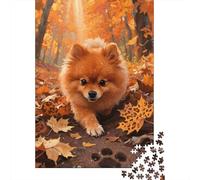 Pomeranian Puzzle Da 1000 Pezzi, Architettura Olistica, Esperienza Catartica, Decorazione Parlante 1000pcs (75x50cm)
