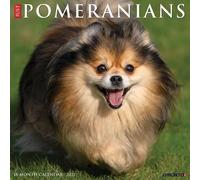 Pomeranians 2027 Wall