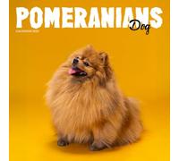 Pomeranians Calendar 2027: Fluffy Coats and Bright Eyes