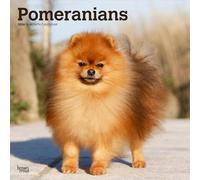 Pomeranians - Spitz 2026 - 16-Monatskalender: Original BrownTrout-Kalender [Mehrsprachig] [Kalender]