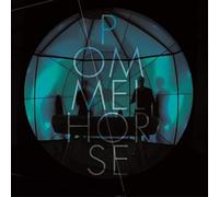 Pommelhorse - Winter Madness