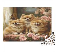 Pommersch Puzzle da 1000 pezzi, per adulti e bambini a partire dai 14 anni, per antistress, puzzle per adulti, 1000 pezzi (75 x 50 cm)