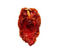 Pomodori essiccati del Salento tipo San Marzano - Italia Spezie®