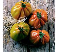 pomodori per il giardino,resistenti esterno decorazione giardino,a crescita semi di appartamento,resistenti vasi 100semi