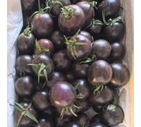 pomodorini ciliegino, giardino roccioso varietà antiche 200semi